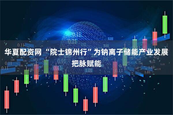 华夏配资网 “院士锦州行”为钠离子储能产业发展把脉赋能