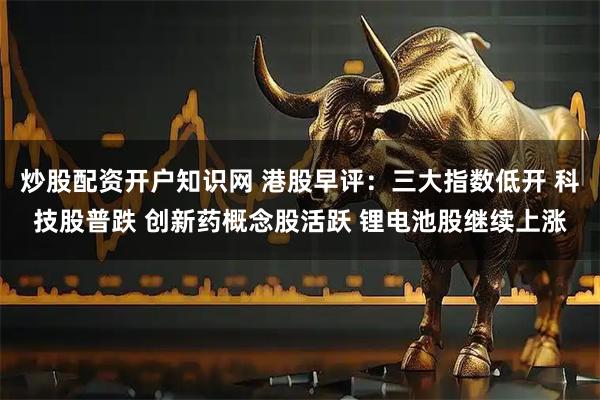 炒股配资开户知识网 港股早评：三大指数低开 科技股普跌 创新药概念股活跃 锂电池股继续上涨
