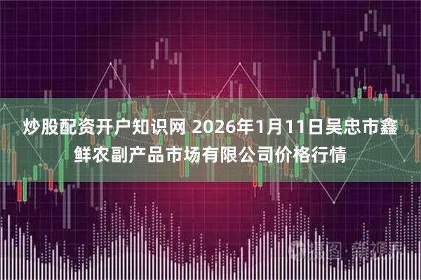 炒股配资开户知识网 2026年1月11日吴忠市鑫鲜农副产品市场有限公司价格行情