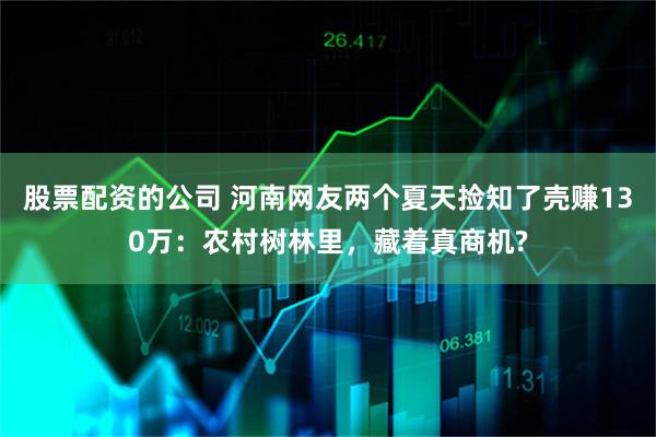 股票配资的公司 河南网友两个夏天捡知了壳赚130万：农村树林里，藏着真商机?